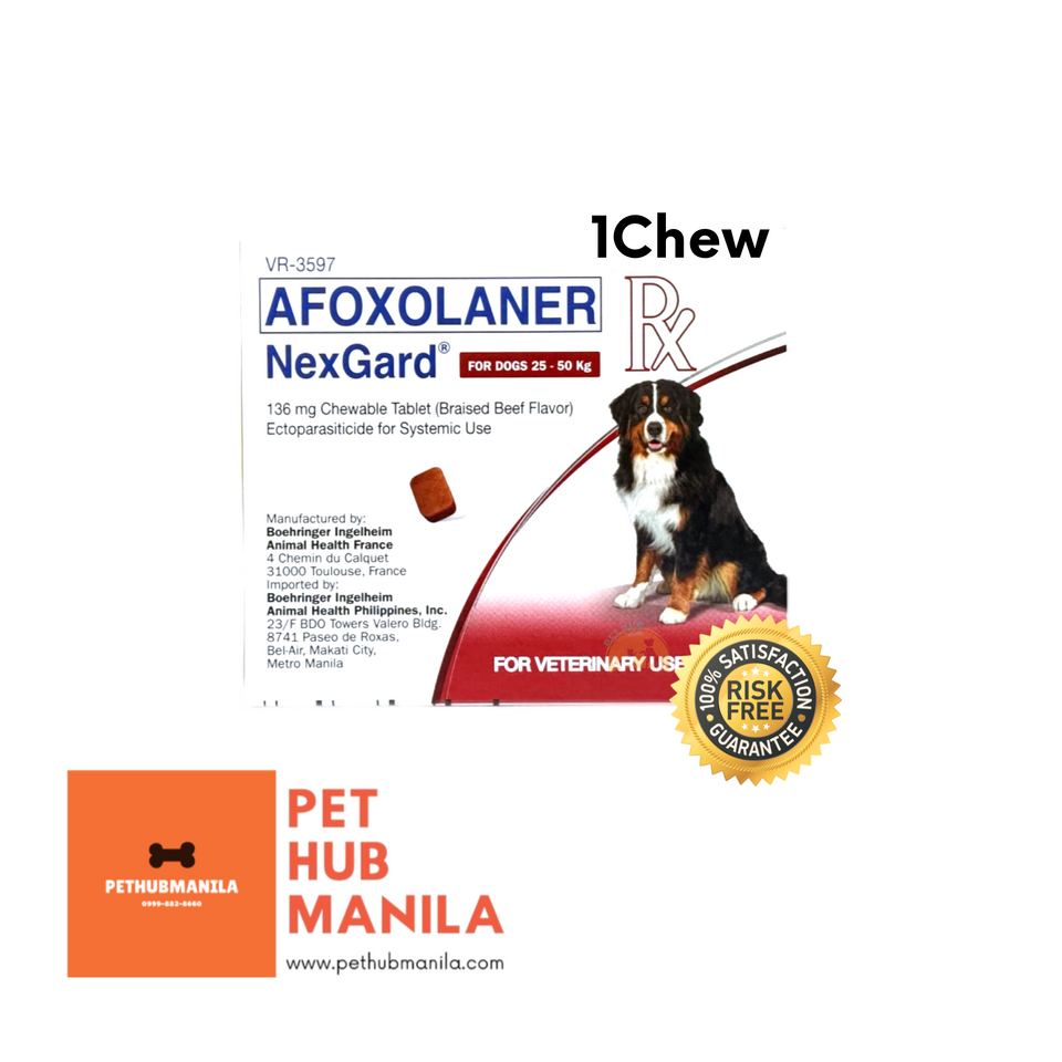 Nexgard Afoxolaner for Dogs 25-50kg 1 Chew