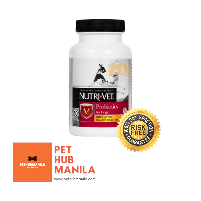 Nutri vet probiotics for dogs deals