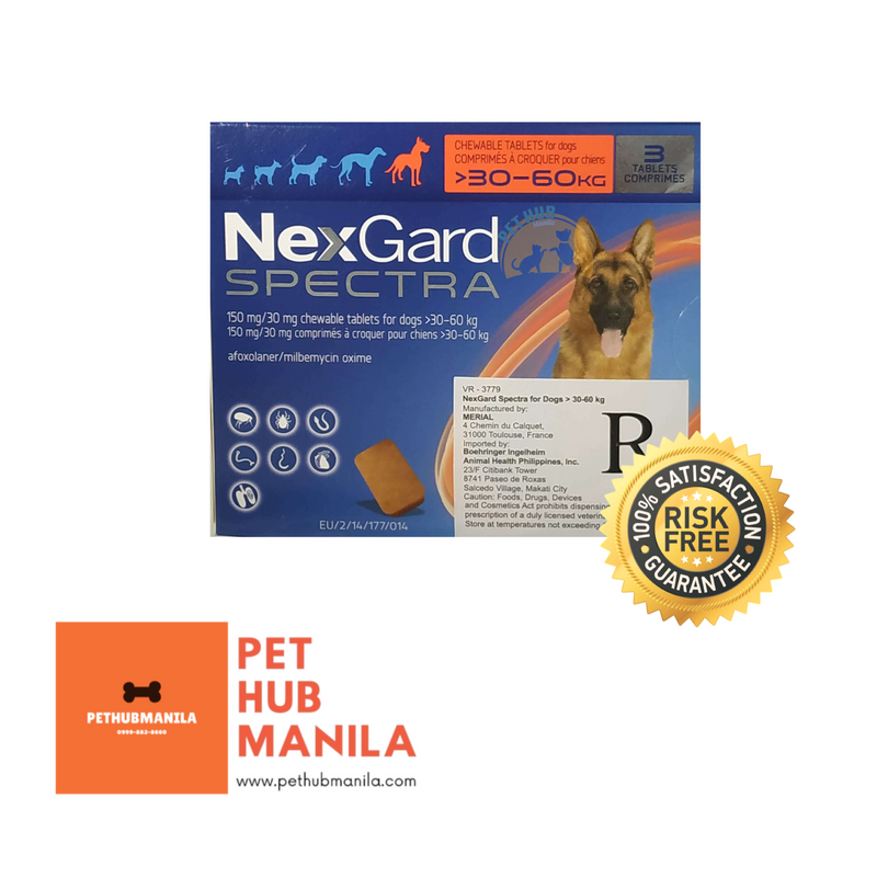 Nexgard Spectra 30-60kg (3 Chewables) – PetHubManila